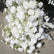 ARCH297 DKB Hot Selling Artificial Silk Flower Arch White Horn Flower Arch for Wedding Background Decoration
