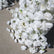ARCH104 DKB Hot Selling Artificial Silk Flower Arch White Horn Flower Arch for Wedding Background Decoration