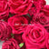 TR041  DKB High End Wedding Decoration Magenta Silk Flower Row for Wedding Table Decoration