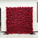 HQ187 DKB Luxurious Deep Red Rose Flower Wall Backdrop