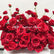 GF218 70cm Deep Red Artificial Rose Centerpiece – Realistic Silk Floral Bouquet for Weddings & Home Decor