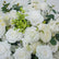 FB1791 White Artificial Flower Wedding Centerpiece with Gold Stand, 19.69" Wide