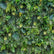 HQ249 Artificial Greenery Wall Backdrop for Wedding and Event Decor
