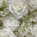 HQ197 DKB Popular White Rose 8*8 ft Flower Wall Backdrop