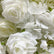 FA023 DKB Popular Elegant White Floral Wedding Arch
