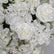 FB1187 DKB Fábrica de Flores Artificiales Bola de Flor de Seda de 50 cm para Decoración de Mesa de Boda