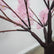FT05003 DKB Artificial PInk Cherry Blossom Tree – 150cm