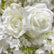 FA023 DKB Popular Elegant White Floral Wedding Arch