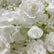HQ197 DKB Popular White Rose 8*8 ft Flower Wall Backdrop