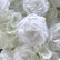 ARCH072 DKB Hot Selling Artificial Silk Flower Arch White Heart Shape Flower Arch for Wedding Background Decoration