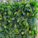 HQ249 Artificial Greenery Wall Backdrop for Wedding and Event Decor