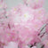 FT05003 DKB Artificial PInk Cherry Blossom Tree – 150cm