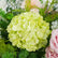 FB1616 Elegant Pink and Green Artificial Flower Wedding Centerpiece