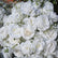 FB799 DKB Artificial Flowers Factory 50 cm White Silk Flower Ball for Wedding Table Decoration