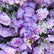 HQ263 8x8 FT Purple Artificial Flower Wall Backdrop for Wedding and Event Decor