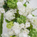 ARCH581 Green and White Artificial Flower Wedding Arch for Ceremony & Event Decor
