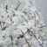 FT05301 DKB Elegant White Artificial Cherry Blossom Tree