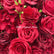 GF218 70cm Deep Red Artificial Rose Centerpiece – Realistic Silk Floral Bouquet for Weddings & Home Decor
