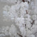 FT001 DKB Hot Selling Grand White Cherry Blossom Arch Entrance