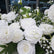 1m White Artificial Rose Garlands for Wedding Decor | TR20