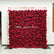 HQ187 DKB Luxurious Deep Red Rose Flower Wall Backdrop